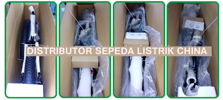 distributor-sepedalistrikchina1.jpg