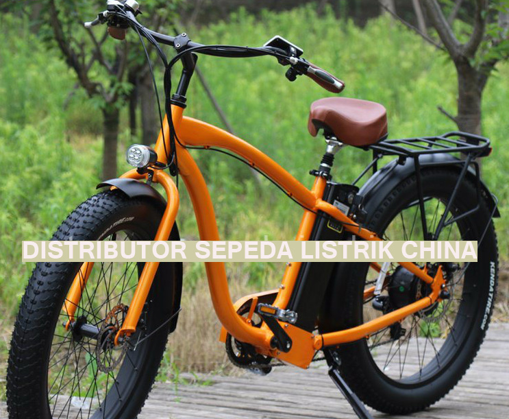 distributor-sepedalistrikchina6.jpg