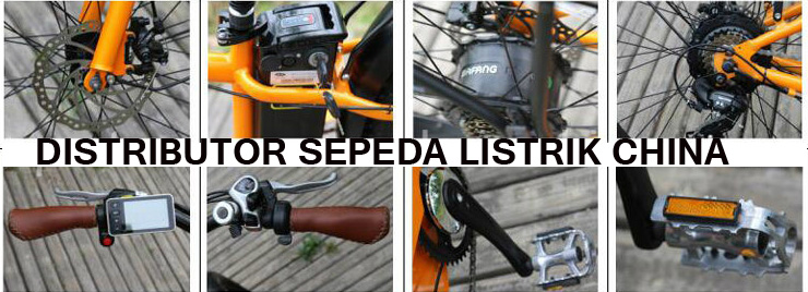 distributor-sepedalistrikchina7.jpg